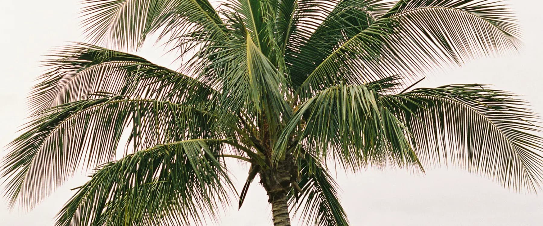 Johnnie-O golf lifestyle apparel